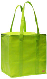 CYMA Large Insulated Zippered Tote Bag- Lime Green